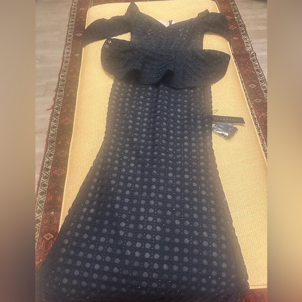 ✔️#25 BNWT ALEXANDER BY DAYMOR STUNNING GOWN #1389 $1695